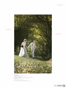 專業與貼心并存 上海蔚藍海岸婚紗攝影的難忘體驗